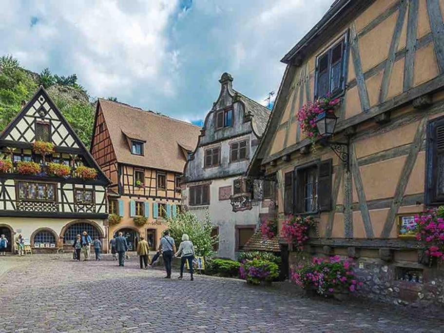 Appartement Climatise 70 M2, Proximite De Colmar Sainte-Croix-en-Plaine Exteriér fotografie