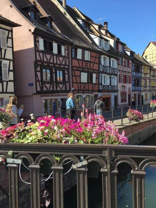Appartement Climatise 70 M2, Proximite De Colmar Sainte-Croix-en-Plaine Exteriér fotografie