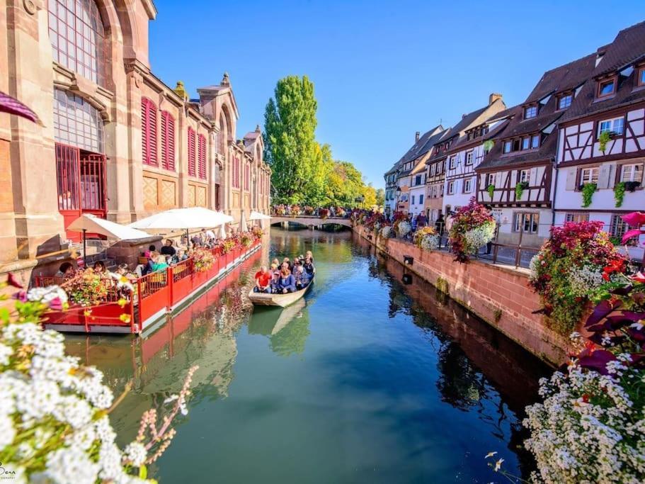 Appartement Climatise 70 M2, Proximite De Colmar Sainte-Croix-en-Plaine Exteriér fotografie