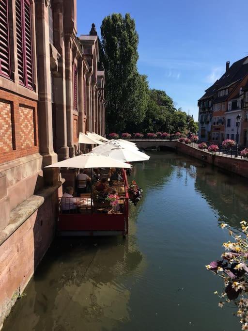 Appartement Climatise 70 M2, Proximite De Colmar Sainte-Croix-en-Plaine Exteriér fotografie